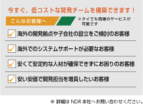 低いコスト開発チーム